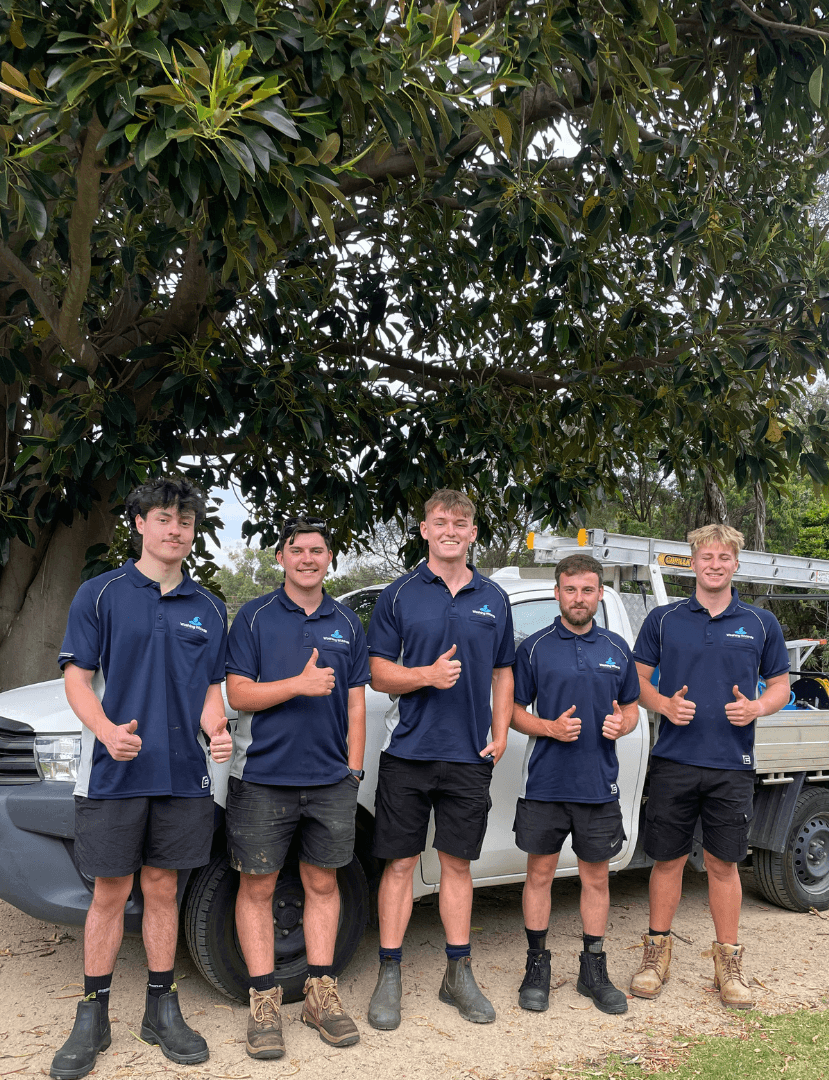 Professional window cleaning and pressure washing team on Mornington Peninsula - Washing Wizards crew ready to serve Mount Eliza, Frankston, and surrounding areas