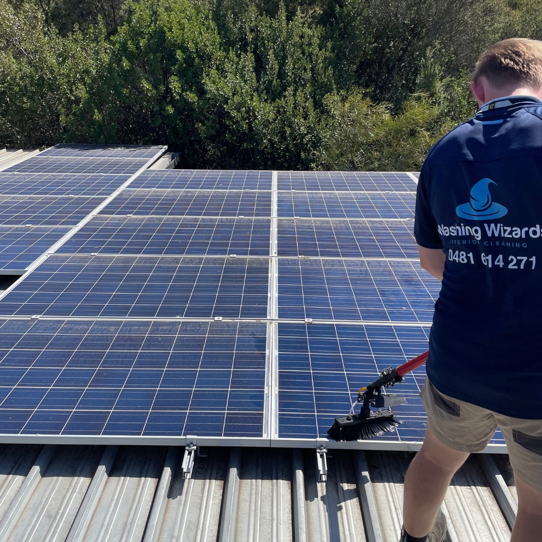 Professional PROFESSIONAL SOLAR PANEL CLEANING