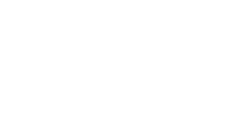 Washing Wizards Logo
